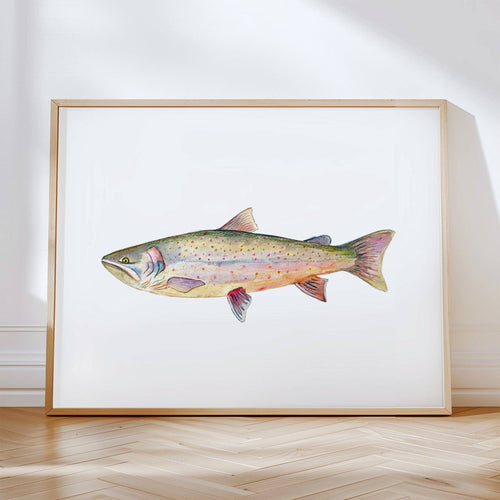Bull Trout: Unframed / 11 x 14