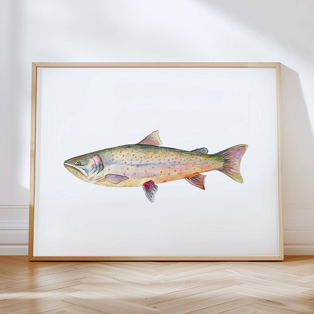 Bull Trout: Unframed / 11 x 14