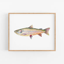Load image into Gallery viewer, Bull Trout: Unframed / 11 x 14
