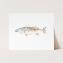 Load image into Gallery viewer, Speckled Trout: Unframed / 11 x 14