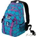 Big Dot Aqua Serious Backpack-Fussbudget.com
