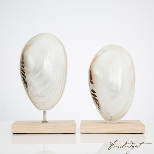 Oceanside Finials [Set of 2]-Fussbudget.com